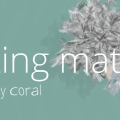 flabellum fish and needy coral 2021