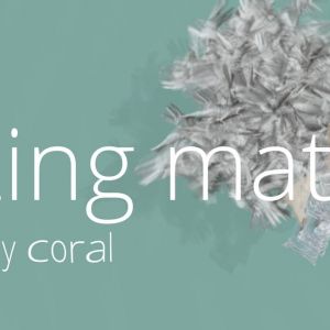 flabellum fish and needy coral 2021