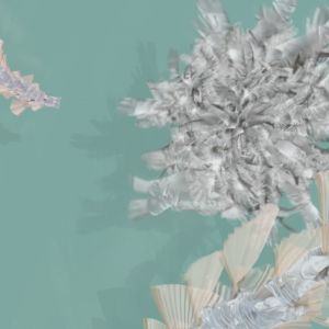 hand vortex 1.1.4
