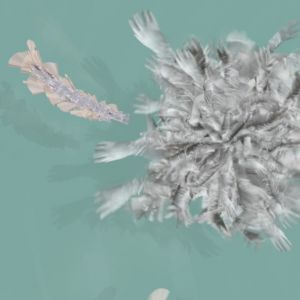 hand vortex 1.1.5