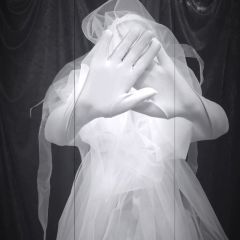 performances - JELLY BRIDE - 2019