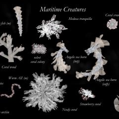 maritime creature table black 1.1.3