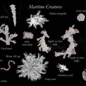maritime creature table black 1.1.3