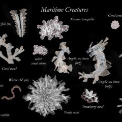 ACTING MATTER - creatures - MARITIME CREATURES - 2021
