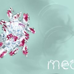 medusa 1.1.7