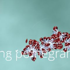 picking pomeganates 1.1.6