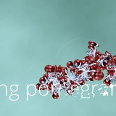 ACTING MATTER - creatures - PICKING POMEGRANATES - 2020