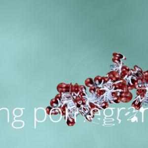 picking pomegranates