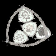 ACTING MATTER - creatures - TRIANGULAR DEAPSEA DIATOM - 2021