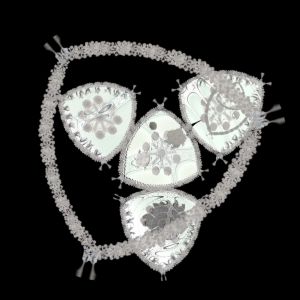 triangular deapsea diatom multi black 1.2.4