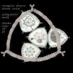 triangular diatom star