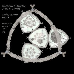 triangular diatom star