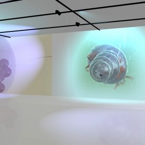 virtual exhibition documentary 1.1.11
