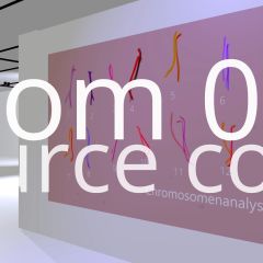 virtual exhibition documentary 1.1.16