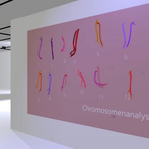 virtual exhibition documentary 1.1.17