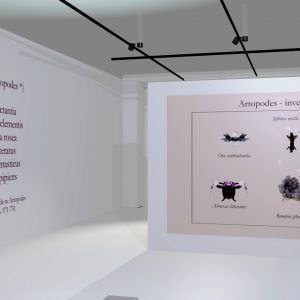 virtual exhibition documentary 1.1.21