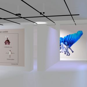 virtual exhibition documentary 1.1.23