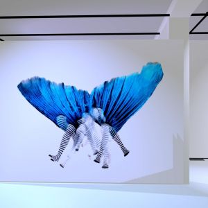virtual exhibition documentary 1.1.24