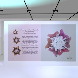 virtual exhibition documentary 1.1.8