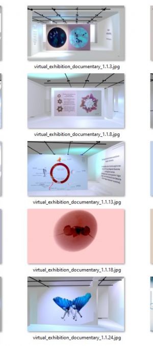 virtual exhibition documentary all