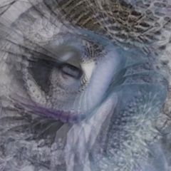thaumatropes 1.2.9