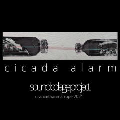 cicadaalarmkurz2