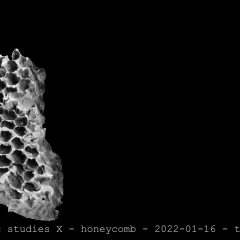 honeycomb 01