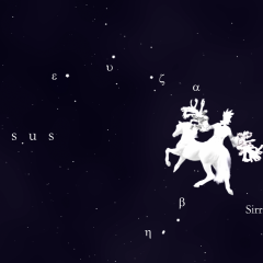 pegasus 05