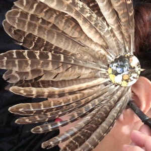 bird call bird call