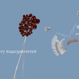 schmetterlingsfalle9