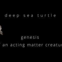 ACTING MATTER - making of - 3D turtle genesis