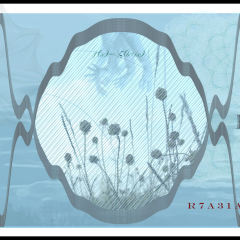 banknote ii verso 03