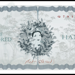 banknote verso 5d