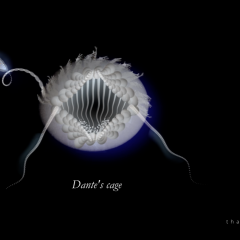 Dante's cage - 2022