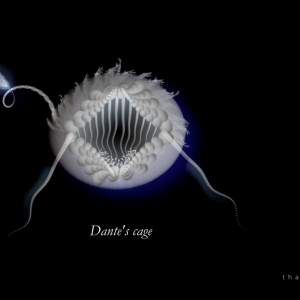 Dante's cage - 2022