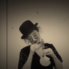 pilgrim mussle violin
