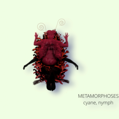 ACTING MATTER - METAMORPHOSES - cyane - 2022