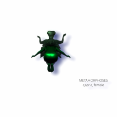 ACTING MATTER - METAMORPHOSES - egeria - 2022