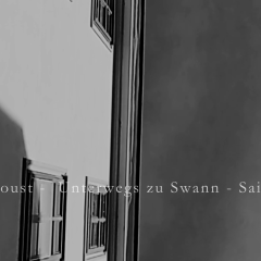 Unterwegs zu Swann - Saint Hilaire - 2023