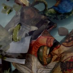Water collages: Bosch - 2024